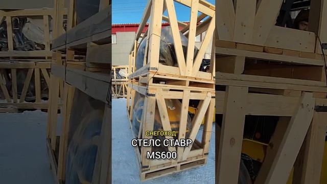Поставка снегоходов СТЕЛС СТАВР MS600 в X-MOTORS смотреть онлайн