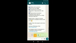 WhatsApp - как преобразовать голосовое сообщение в текст с помощью TextyBot