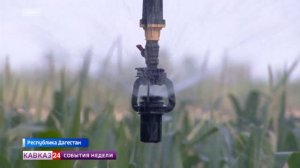 Минсельхоз РФ выделит Дагестану 373 миллиона рублей на реализацию проектов по мелиорации