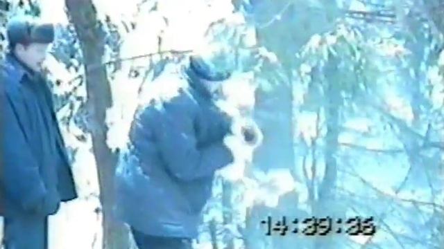 ЁЛКА_ЛЕС 24_12_1996.mp4 смотреть онлайн