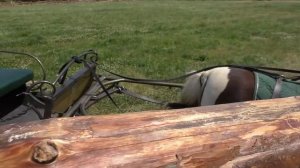 «Кудыкина Гора» Природный парк чудес..