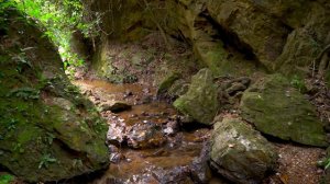 Целебная музыка, которая успокаивает