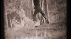 Старое каратэ три