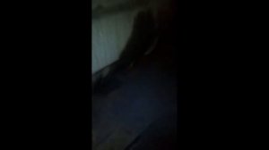 АВТОРЕМОНТ ОНЛАЙН Троит мотор на Чери Фора