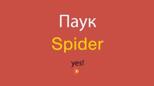 Паук по-английски