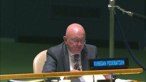 Statement by PR Vassily Nebenzia at UNGA on the working methods of the Security Council