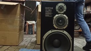 Diatone DS-77EX Black, распаковка.