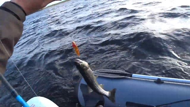 Рыбалка в Мурманской области | Кумжа | 4 серия смотреть онлайн