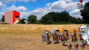 Real Life Minecraft steve and Angry birds vs Zombies