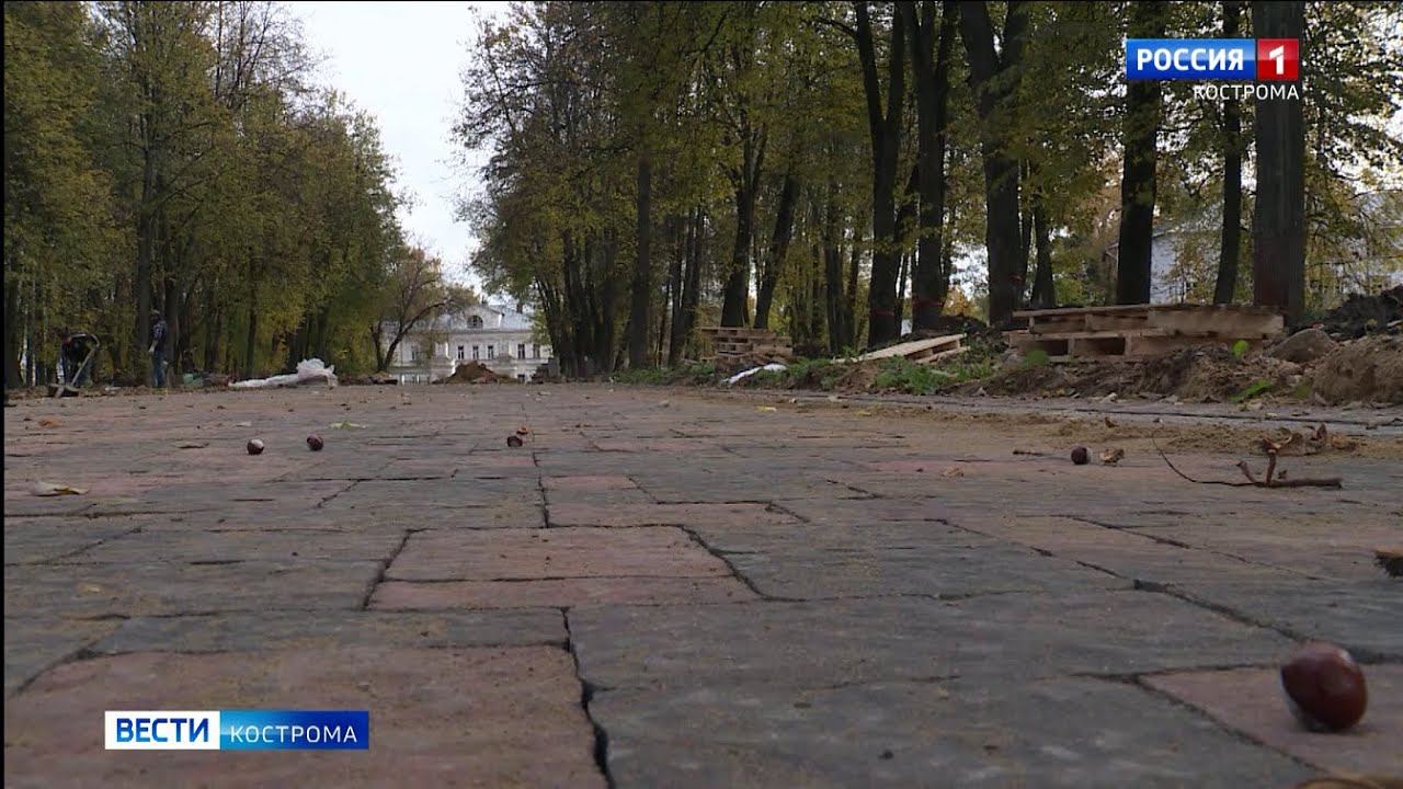 За забором парка «Центральный» в Костроме вновь закипела работа