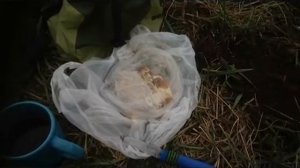 В дали от дома