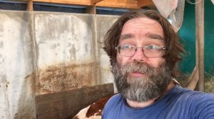 Понос у коровы, упал удой, что делать