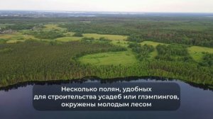 59 Га в дер.Сороки с озером! (Вышний Волочёк)