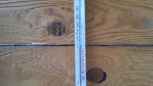 Идея Для Бизнеса. Грибы. Вешенка Растет При Температуре -4. Рост Грибов Без Ухода. Есть Результат.