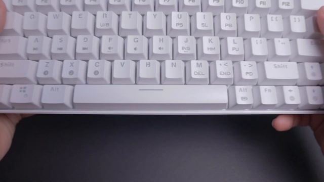 Is this the best BUDGET Keyboard? | DK63/DK61 | Review смотреть онлайн