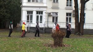 Боль в спине. Школа бега доктора Попова.