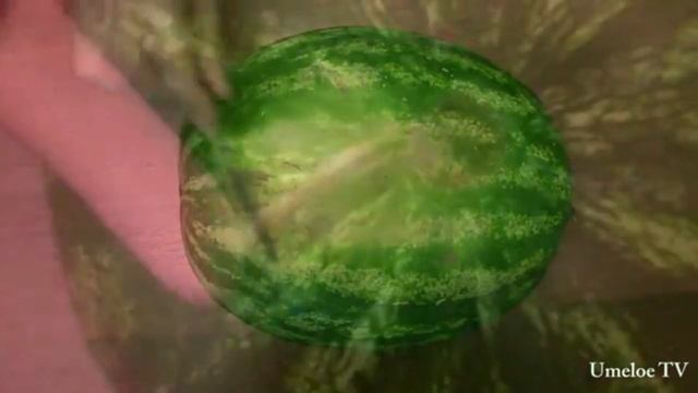 Попробуй теперь выбери арбуз смотреть онлайн