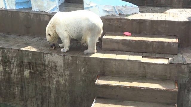 Мама, поделись рыбкой) смотреть онлайн