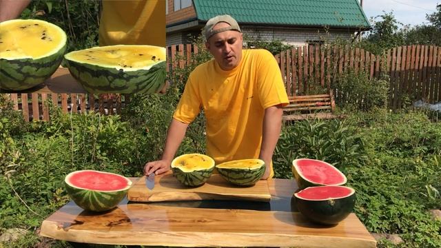 КАК ВЫБРАТЬ 100% ПРАВИЛЬНЫЙ ИДЕАЛЬНЫЙ АРБУЗ - СПЕЛЫЙ СЛАДКИЙ СОЧНЫЙ САХАРНЫЙ | АРБУЗЫ ГИБРИДЫ смотреть онлайн