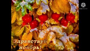 Главней всего погода в доме