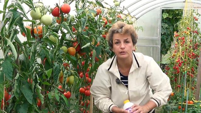 Наталья Петренко рассказывает о Гумаспорине