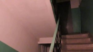 Лифт МЛМ (2008 г.в) Скорость 1-м/c, Грузоподъемность 320 кг. (16.01.2022)