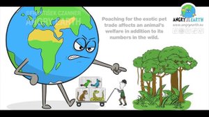 ANGRY EARTH images compilation 19 : Save The Animals 4 + 1,2,3