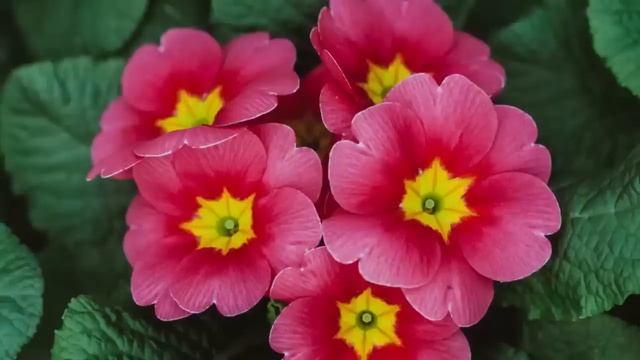 Муж сначала руку стал поднимать на жену, а потом совсем ушёл, другую полюбил. А через время, он... смотреть онлайн