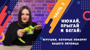 Расширьте границы ваших игр: интересные игрушки для собак