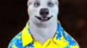 Обращение медведя мем 27 ноября. Но 27 декабря