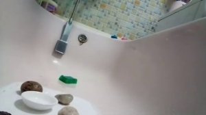 Уборка в контейнере улитки! Делюсь советами для улиток!