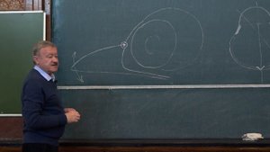 12. Птицы. Зоология позвоночных - Корзун Л. П. Teach-in.