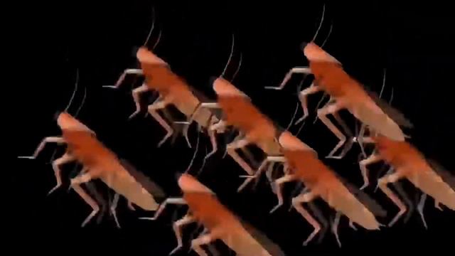 Тараканы танцуют под бандитское радио смотреть онлайн