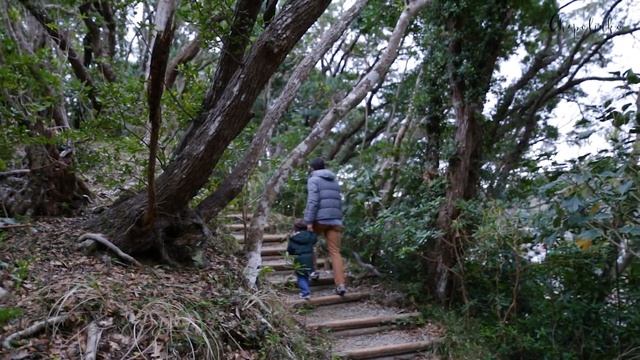 Уникальная пещера Рюгу на полуострове Изу. Природа Японии. смотреть онлайн