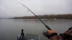Ловля щуки в октябре на спиннинг. Рыбалка на реке с лодки.