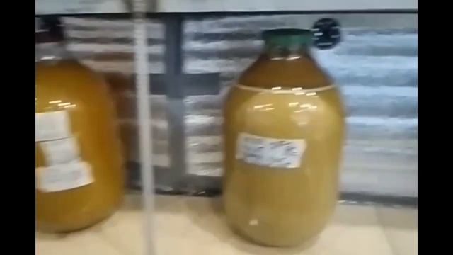 Яблочный дистиллят 2го перегона. смотреть онлайн