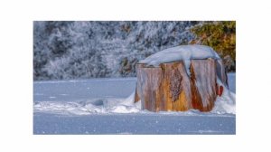 Средняя группа. Ознакомление с окружающим миром.