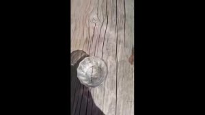 Татарские приколы шутки