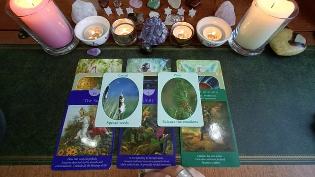 Fairy Message ?♀️ Pick a Card Timeless Wisdom Tarot Oracle Reading смотреть онлайн