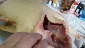 Утки Стар53. Забой в 59 дней. Первый опыт и впечатления.