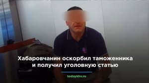 Хабаровчанин оскорбил таможенника и получил уголовную статью