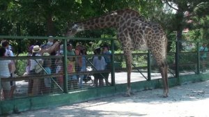 сафари-парк "Тайган" в Крыму