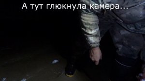 РЫБАЛКА НА НАЛИМА / РЫБАЛКА ОСЕНЬ 2020 / НАЛИМ НА ДОНКИ