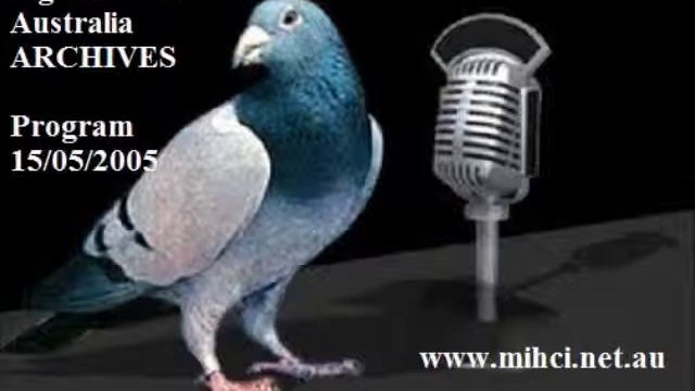 Pigeon Radio Australia Archive - Interview Segment Sunday 15/06/2005 смотреть онлайн