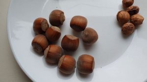 ФУНДУК Тонда. Орех из Шоколадки ??? / Hazelnut tonda giffoni