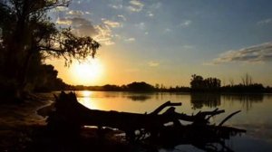 Адажио Альбиони.  исполняет Ольга Павенская....