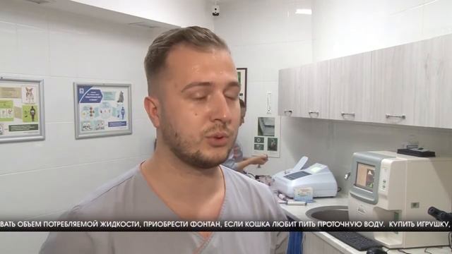 СЮЖЕТ КЛИНИКА ДОКТОРА ЧУЛКОВОЙ ИДИОПАТИЧЕСКИЙ ЦИСТИТ смотреть онлайн