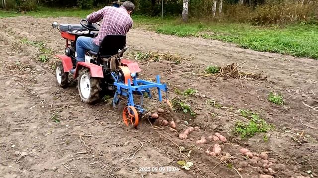 Агромаш МТ110. Копка картошки