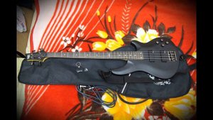 1.7 Обзор Schecter SGR C-4 BASS и combo Ibanez SW15 soundwave