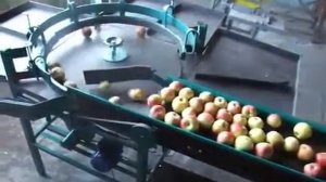 НОВИНКА! Линия, для сортировки калибровки яблок и фруктов